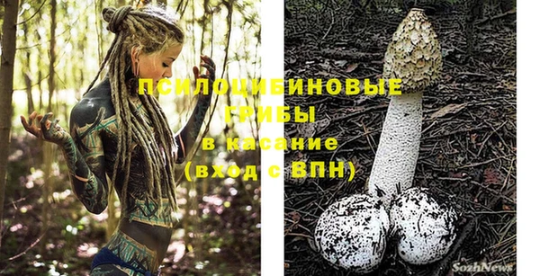первитин Белокуриха