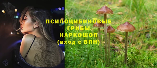 первитин Белокуриха