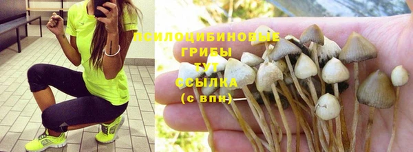 первитин Белокуриха