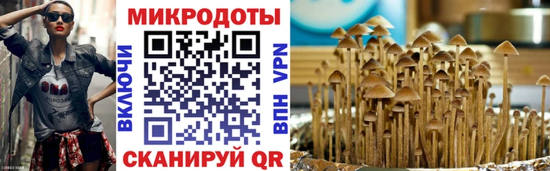 Галлюциногенные грибы GOLDEN TEACHER  Няндома 